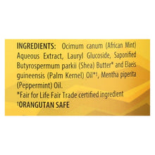 Load image into Gallery viewer, Alaffia - African Black Soap - Peppermint - 32 Fl Oz.