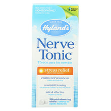 Load image into Gallery viewer, Hylands Homeopathic Nerve Tonic Tablets - 500 Tablets
