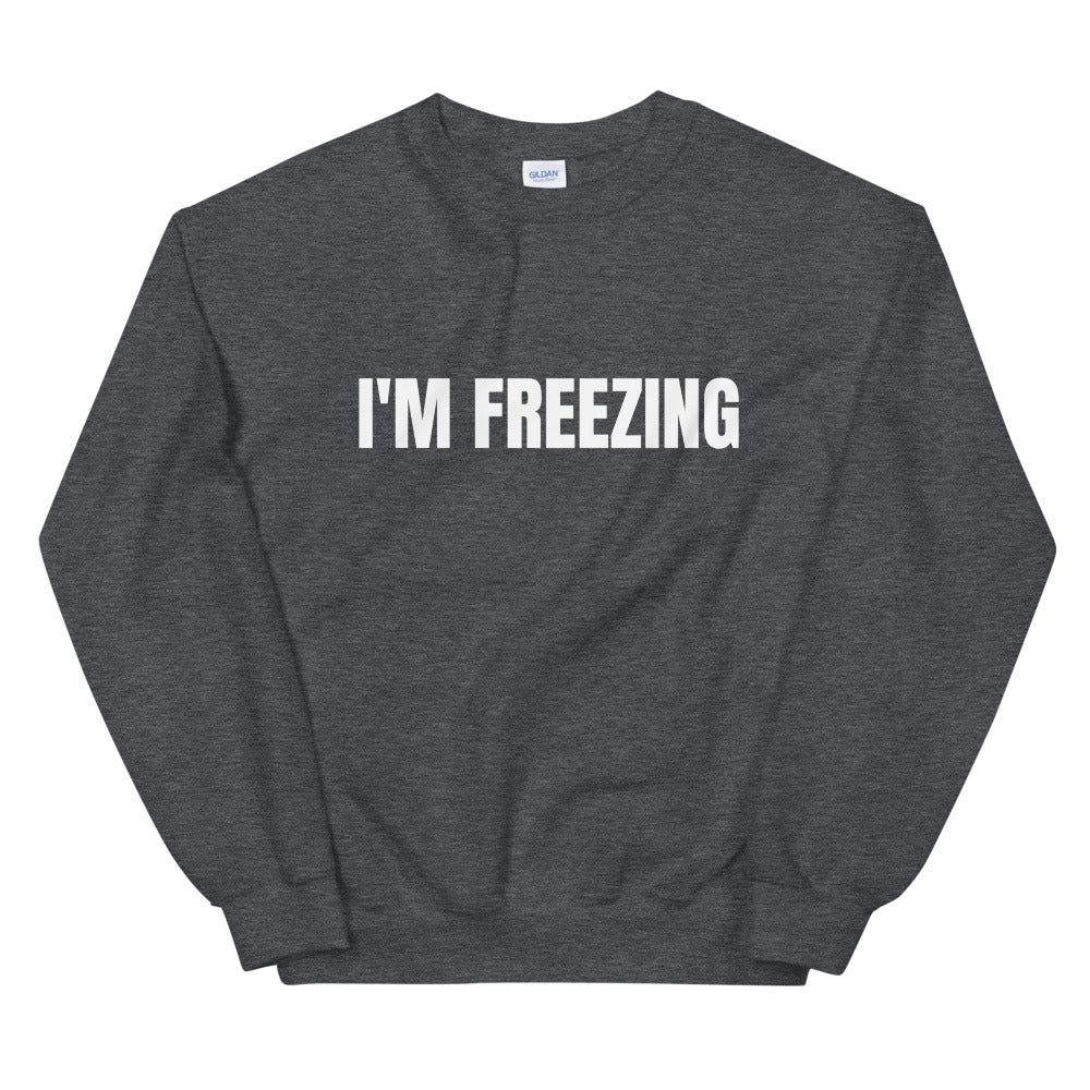 I'm Freezing Unisex Sweatshirt | Funny Gifts For Friends Who Are Always Cold
